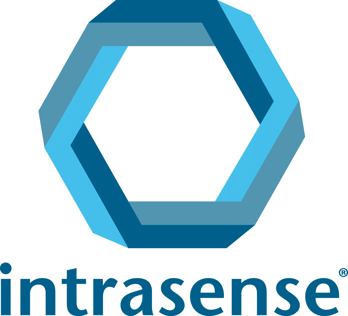 intrasense_logo